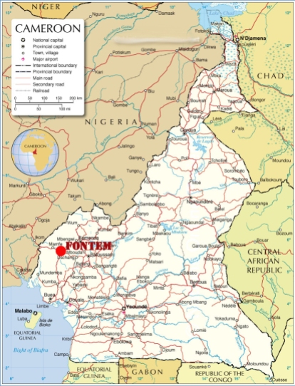 0 - mappa politica del Camerun